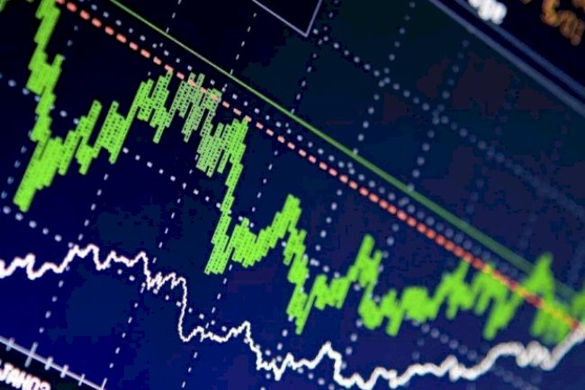 2022 Firma Sahipleri için Taşıma Ruhsatı 