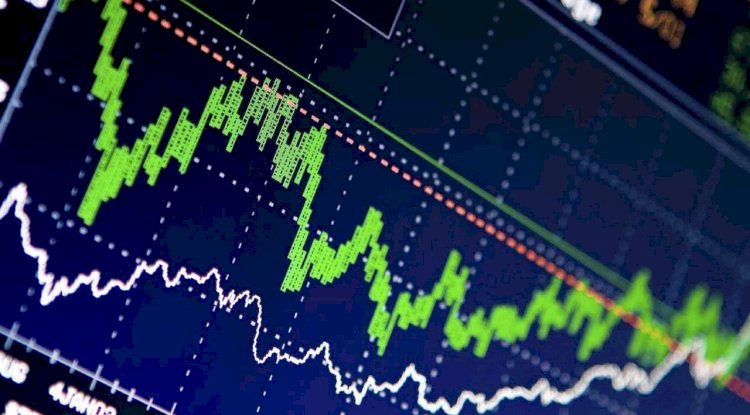 2022 Firma Sahipleri için Taşıma Ruhsatı